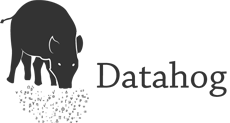 datahog logo